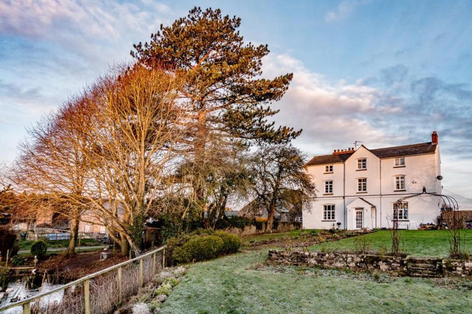 Art House B & B Raglan Exterior photo