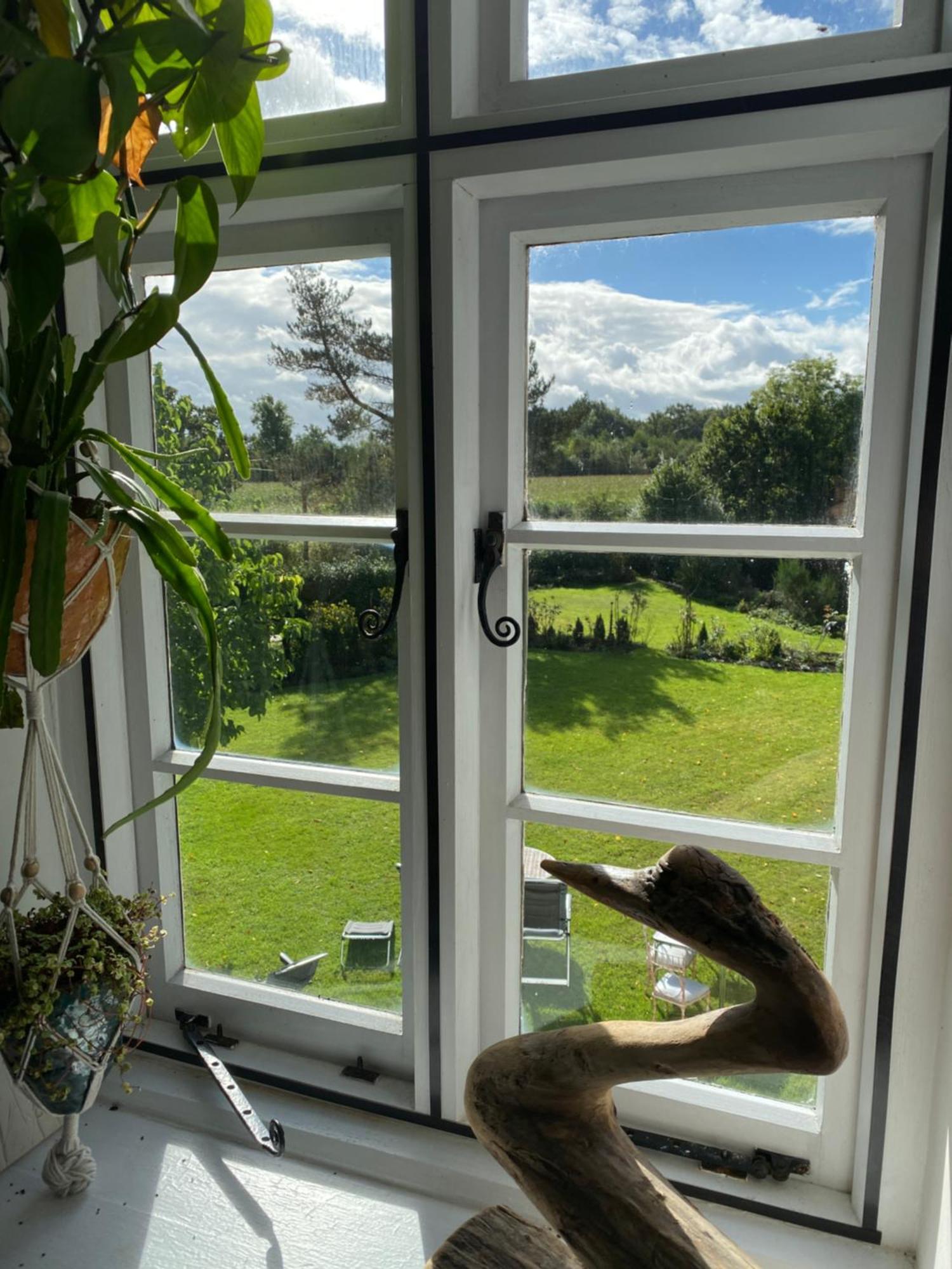 Art House B & B Raglan Room photo